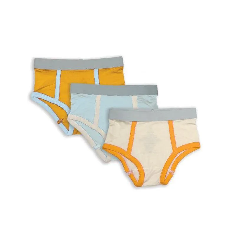 Silkberry Baby Bamboo Boys Briefs - Feather-Starlight-Sunset (3 pack)